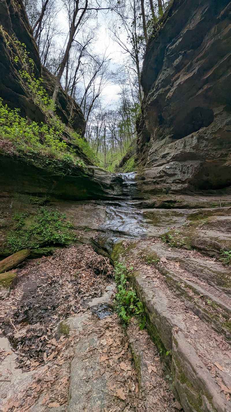 Ancient Rock Formations Tell a 320-Million-Year Story
