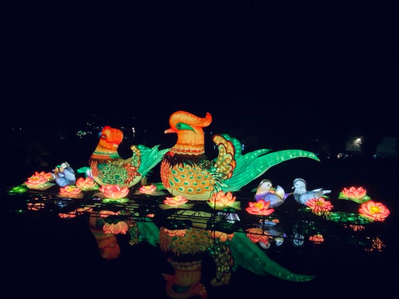 The Magical Forest Realm 