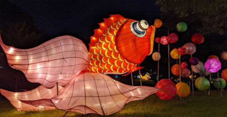 This Kentucky Festival Promises Stunning Lantern Displays In 2026