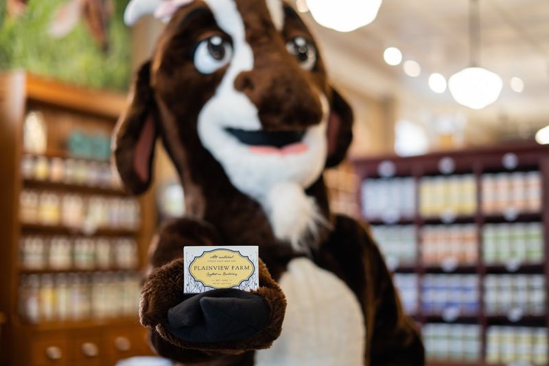 The Goat Milk Soap