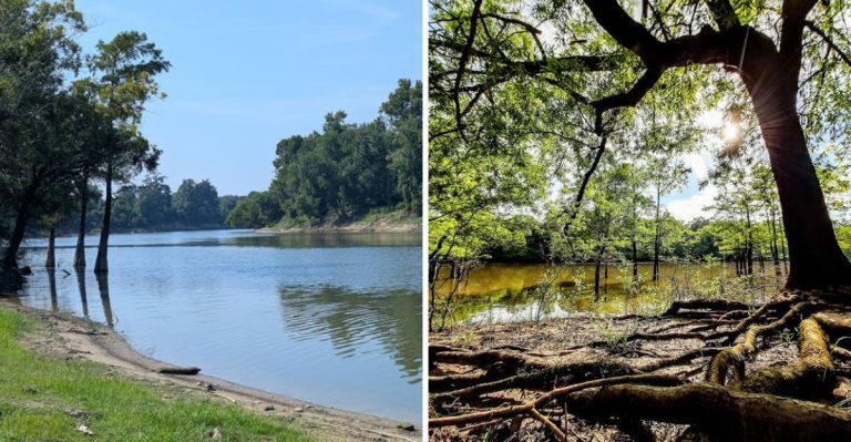 This Little-Known Arkansas State Park Is A Quiet Waterfront Escape Hiding In Plain Sight