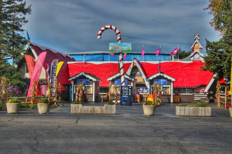 Christmas Magic, All Year Long