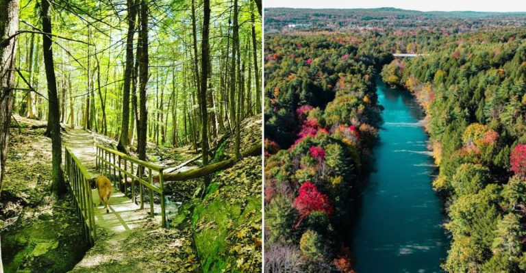 This Little-Known Maine Riverside Trail Feels Like A True Hidden Gem