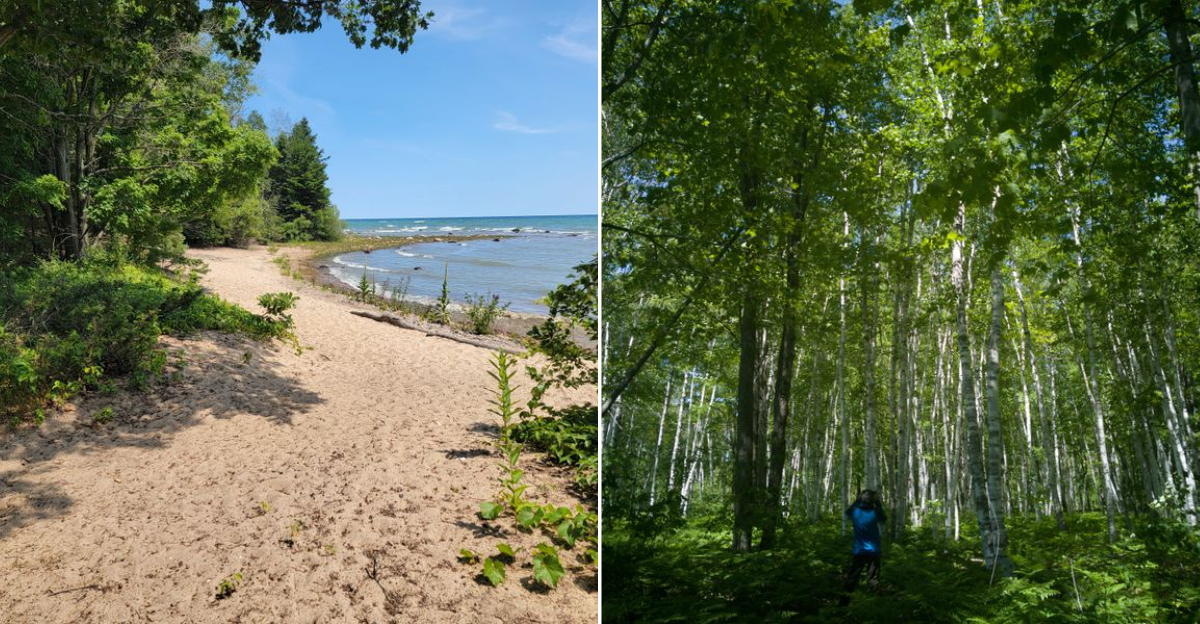 This Little-Known State Park In Michigan Has Bahamas-Like Charm Without The Crowds