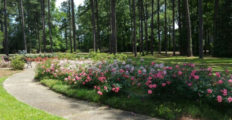 This Louisiana Garden Looks Too Beautiful To Be Real