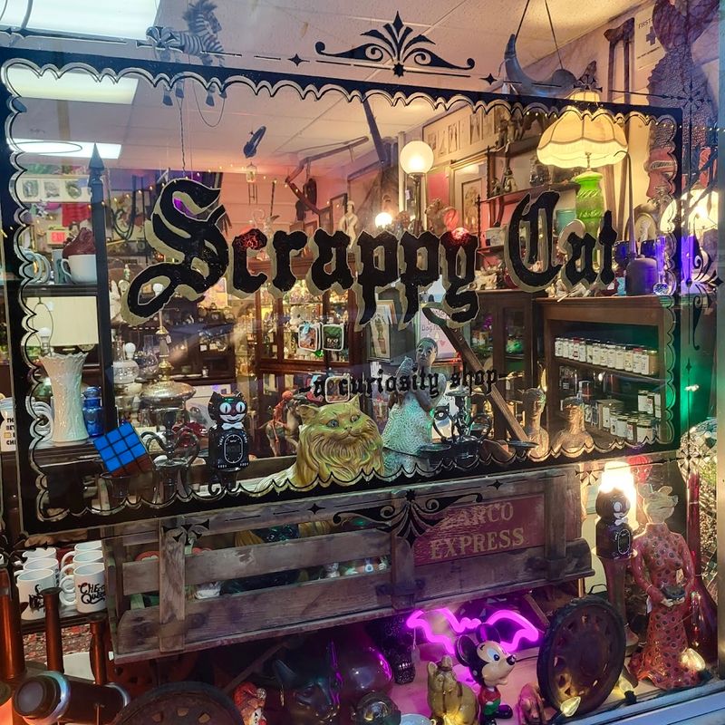 A Curiosity Shop With Real Character