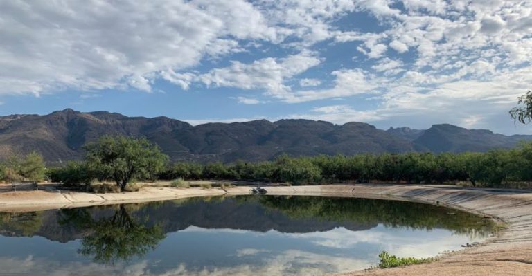 This Lush Arizona Oasis Is A Hidden Paradise Fed By Natural Warm Springs