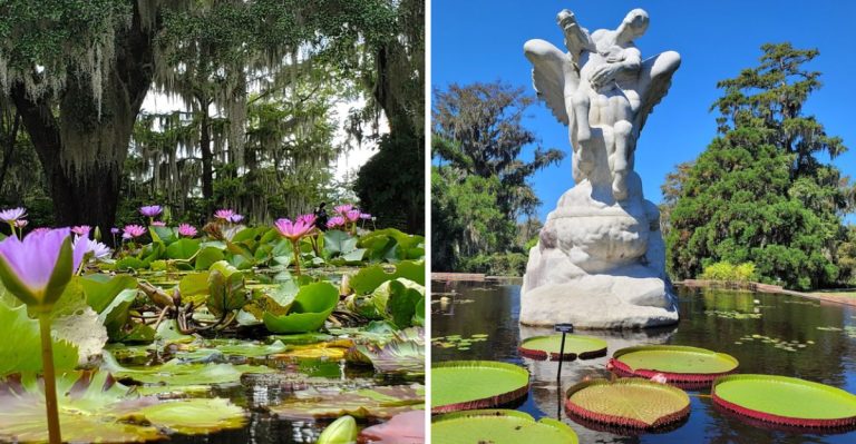 This Magical Botanical Garden In South Carolina Is One You’ll Never Forget