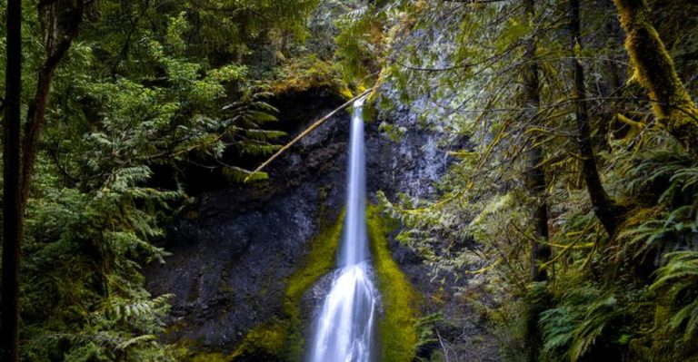 This Magical Waterfall Trail In Washington Deserves A Spot On Your Bucket List