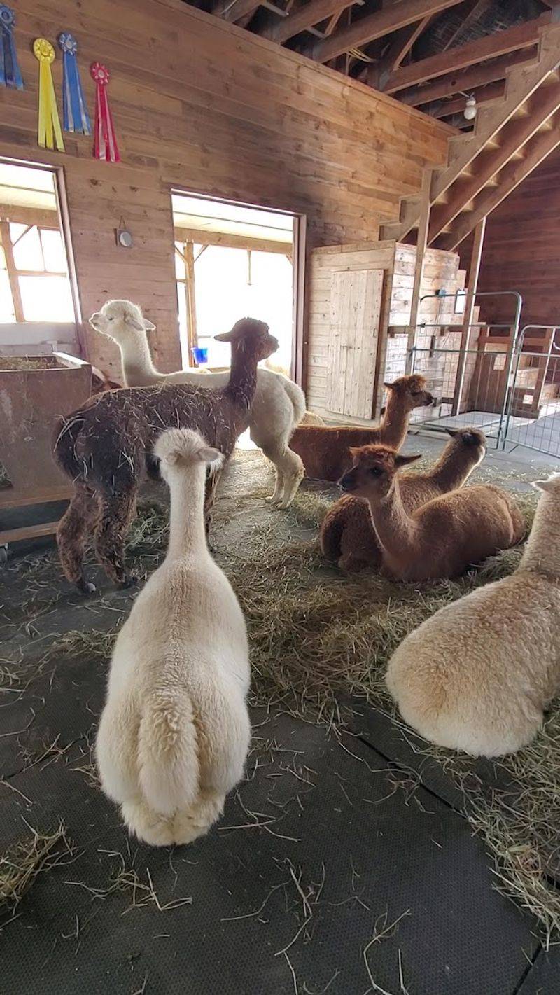 The Farm Has Been Running For Over 20 Years