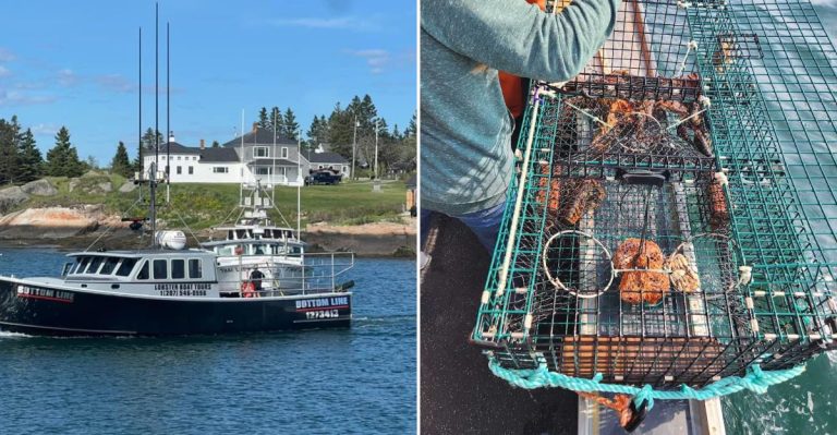 This Maine Lobster Boat Tour Serves The Freshest Seafood Dinner You’ll Ever Catch Yourself