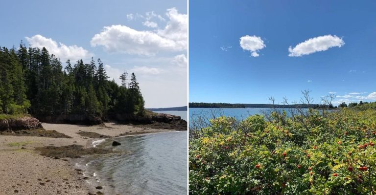 This Maine State Park Is So Underrated, Even Locals Overlook It