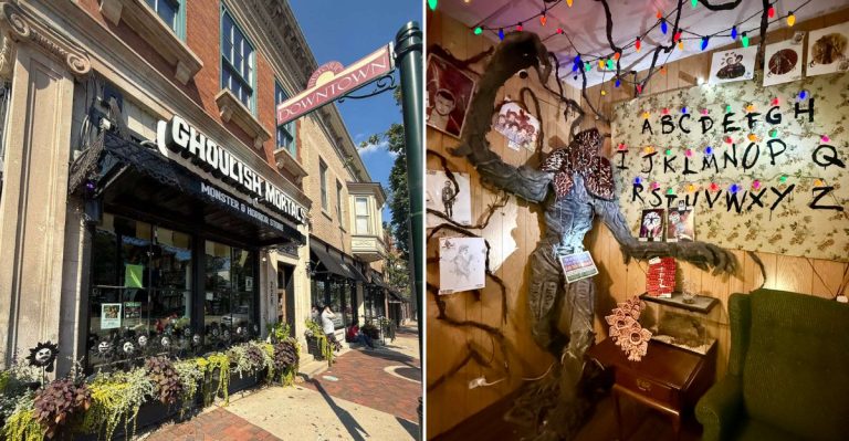 This Massive Eerie-Cute Horror Shop In Illinois Has A ‘Stranger Things’ Room And So Much More