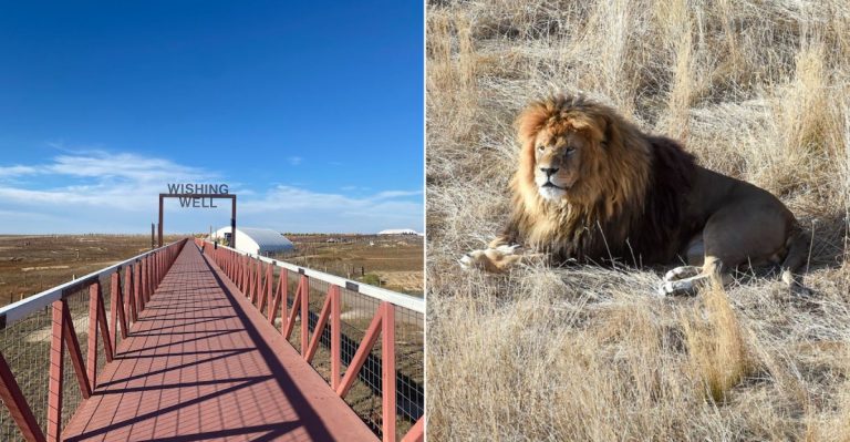 This Massive Wildlife Sanctuary In Colorado Will Make You Feel Like You’re On The African Savannah