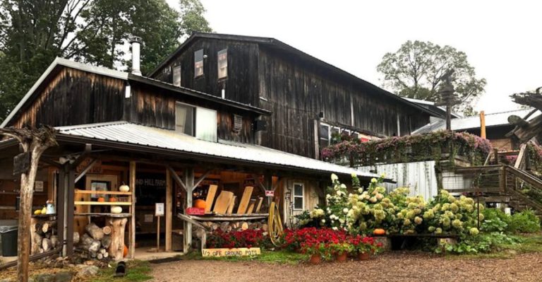 This Michigan Barn Turns Simple Brunch Into A Culinary Adventure