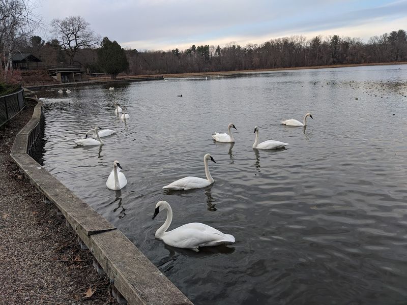 Dawn Light Over Wintergreen Lake