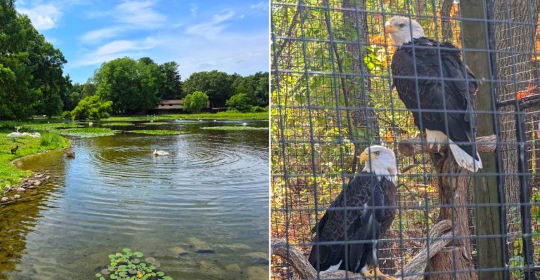W.K. Kellogg Bird Sanctuary
