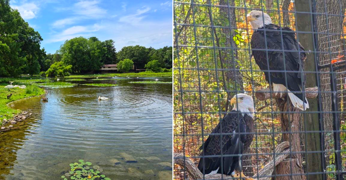 W.K. Kellogg Bird Sanctuary