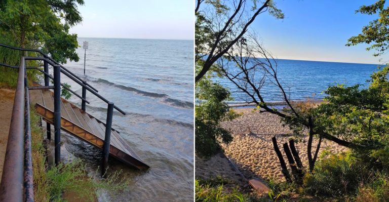 This Michigan Boardwalk Is One Every Local Should Walk At Least Once