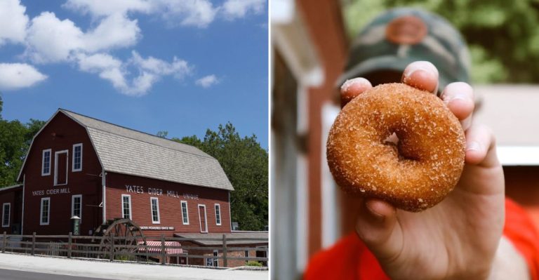 This Michigan Café Serves Cinnamon Donuts So Good, They’re Practically Halloween Magic