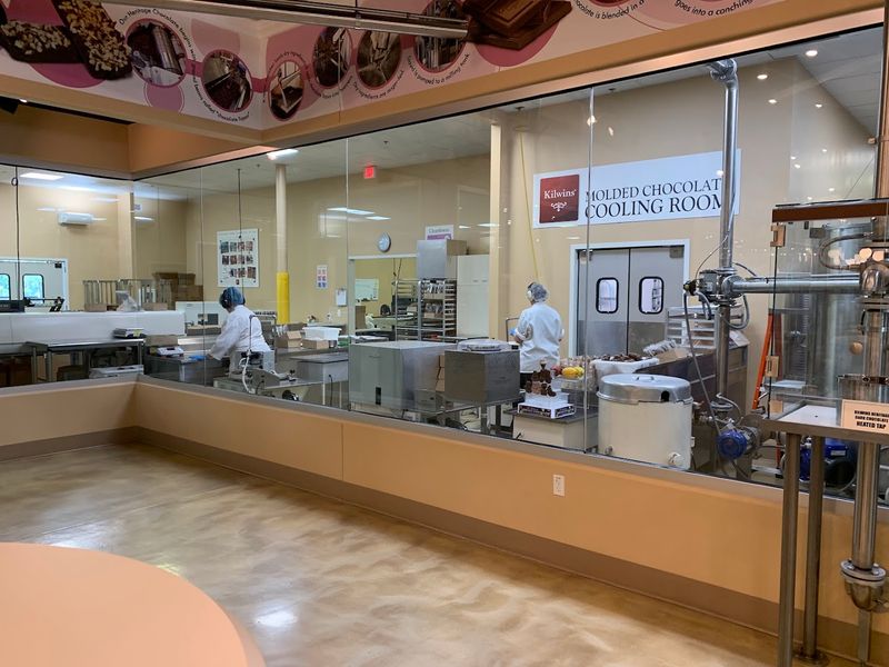 Follow Your Nose First