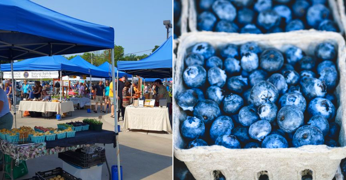 The Downtown Marquette Blueberry Festival