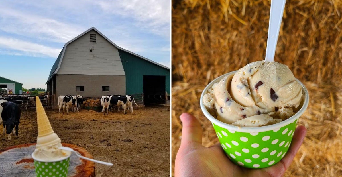 Cook's Farm Dairy and their ice cream
