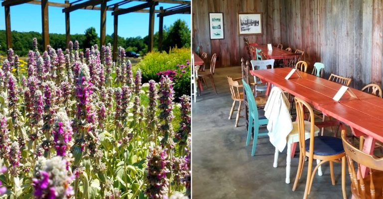 Cherry Point Farm & Market