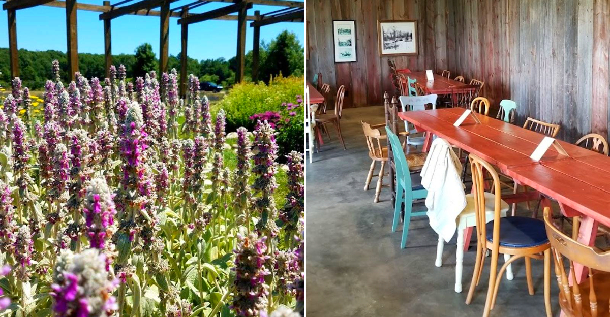 Cherry Point Farm & Market
