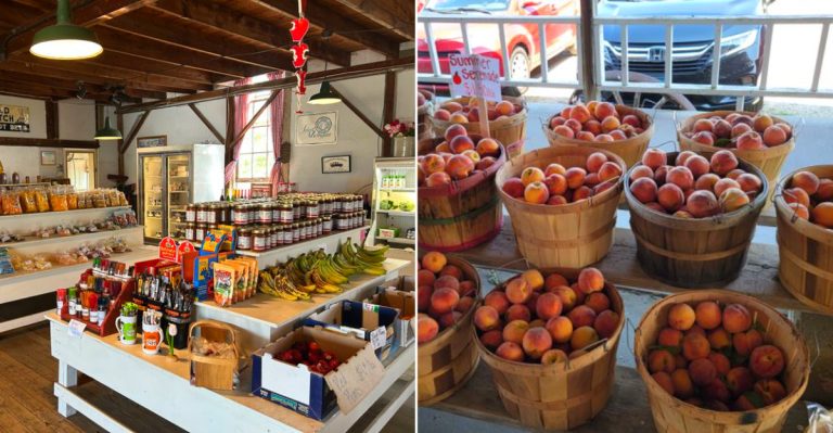 The tasty products at the Dutch Farm Market Michigan