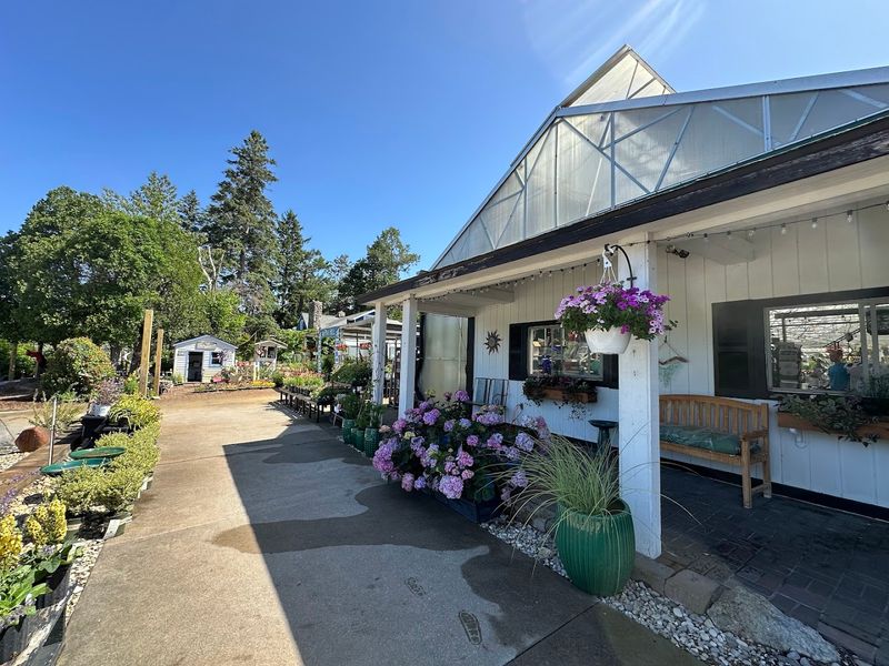 Time Your Visit For Peak Bloom