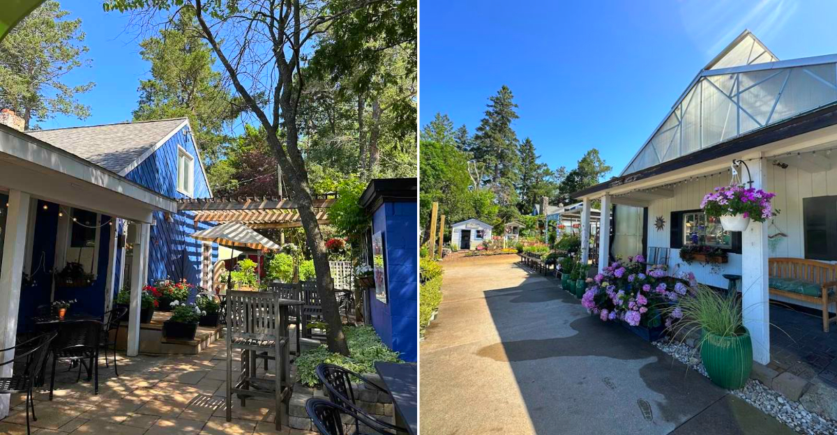 Garden Cafe at Pine Hill Nursery