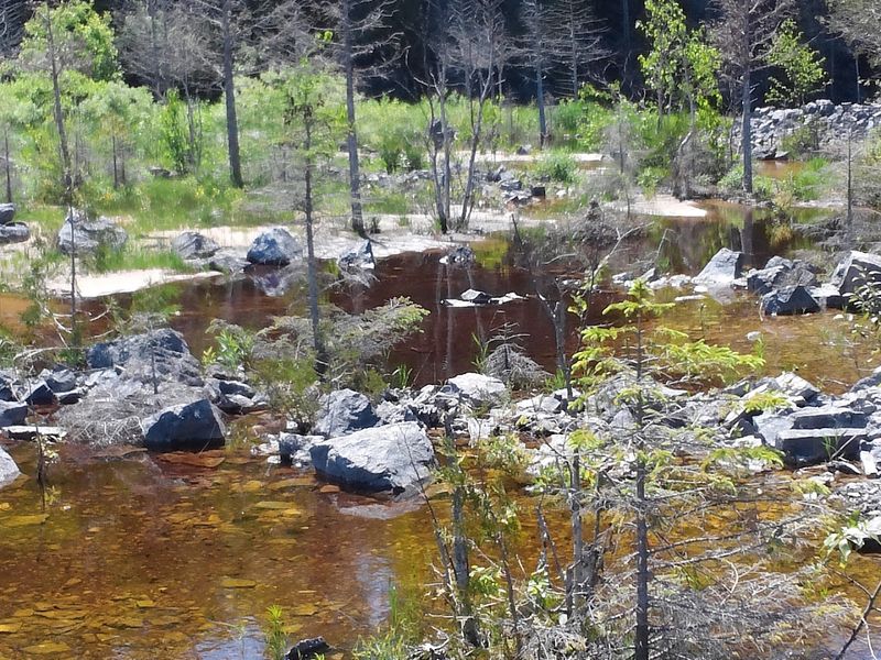 Limestone Silence On The Quarry Rim