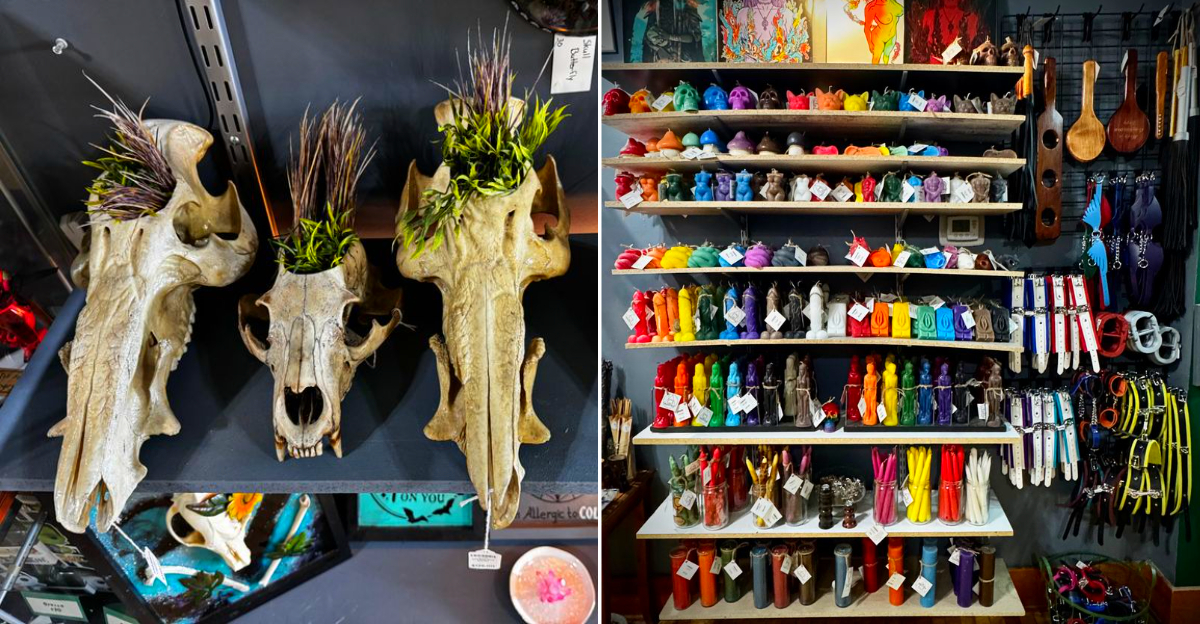 Artworks sold at the Twisted Things Boutique