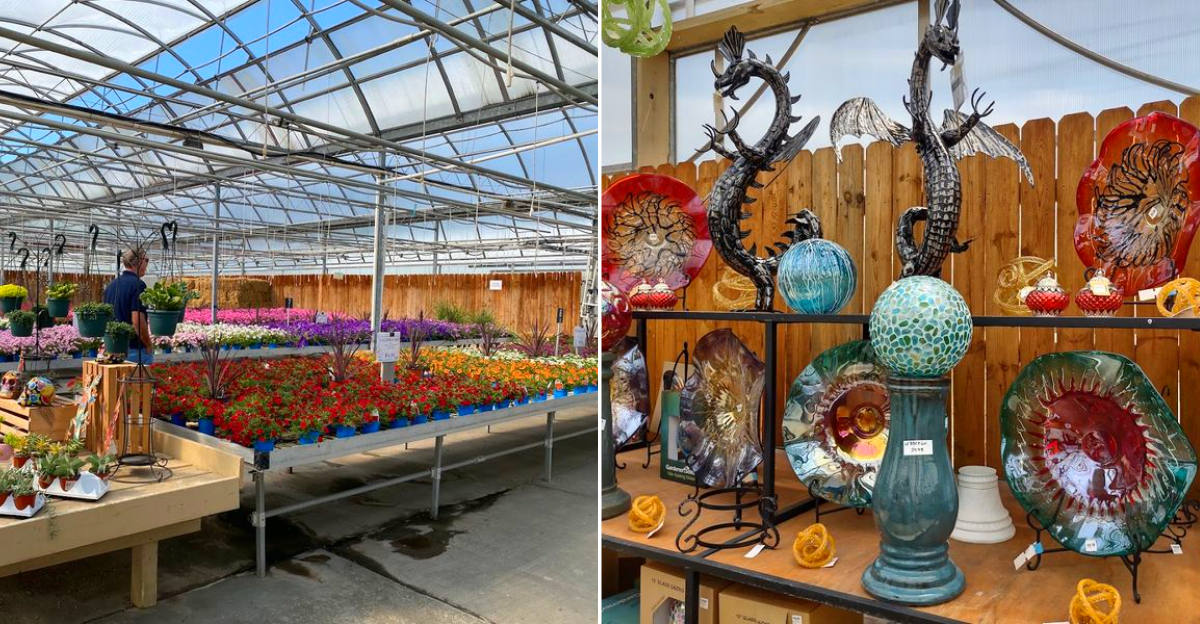 Wojo’s Greenhouse