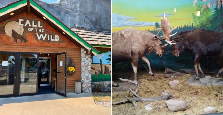 Call of the Wild Museum