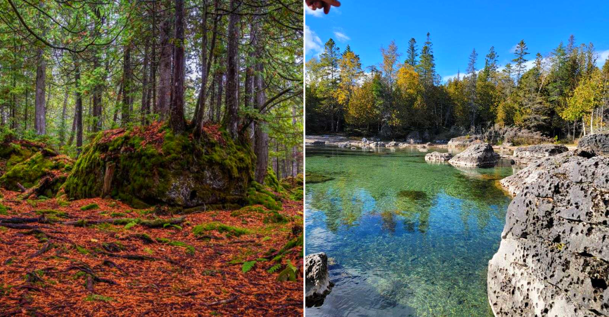 Views at the Narnia of Michigan