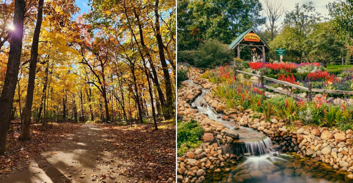 Howell Nature Center