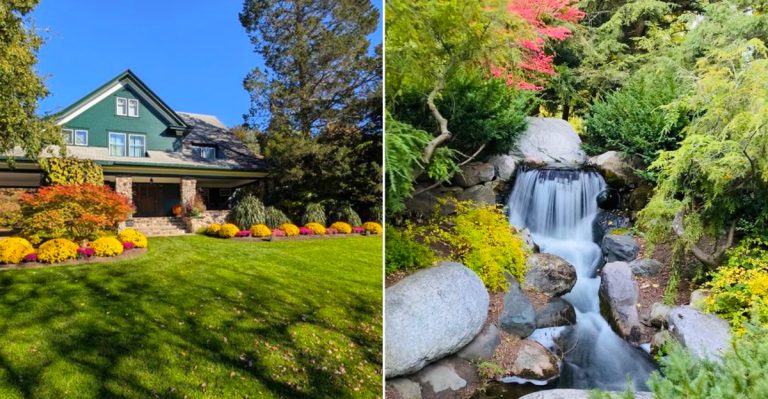 The beauty of Dow Gardens