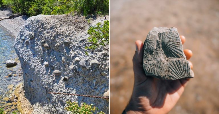 Rockport State Recreation Area