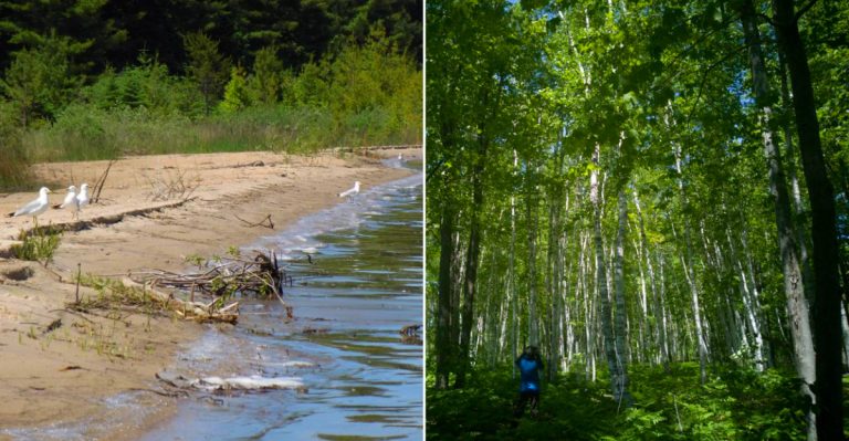 This Michigan State Park Feels Like a Hidden Escape