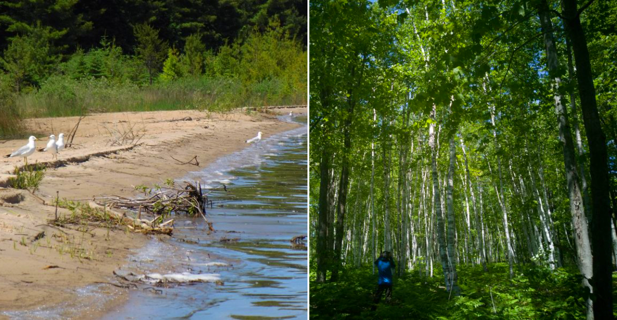 This Michigan State Park Feels Like a Hidden Escape