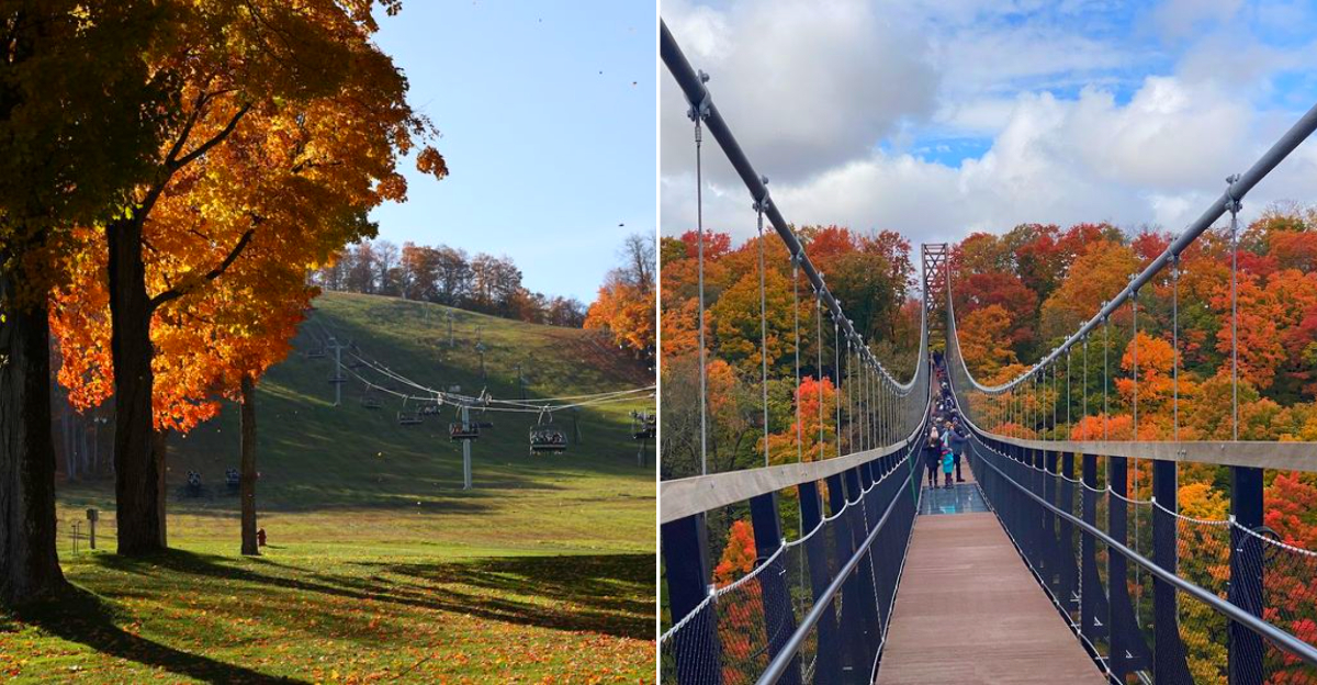 SkyBridge and Boyne Mountain Resort