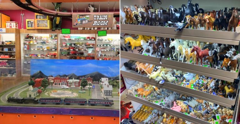 Whistle Stop Hobby & Toy