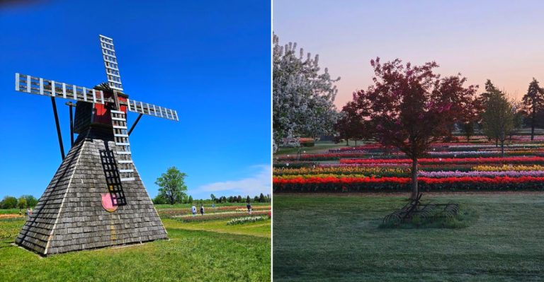 Veldheer Tulip Gardens