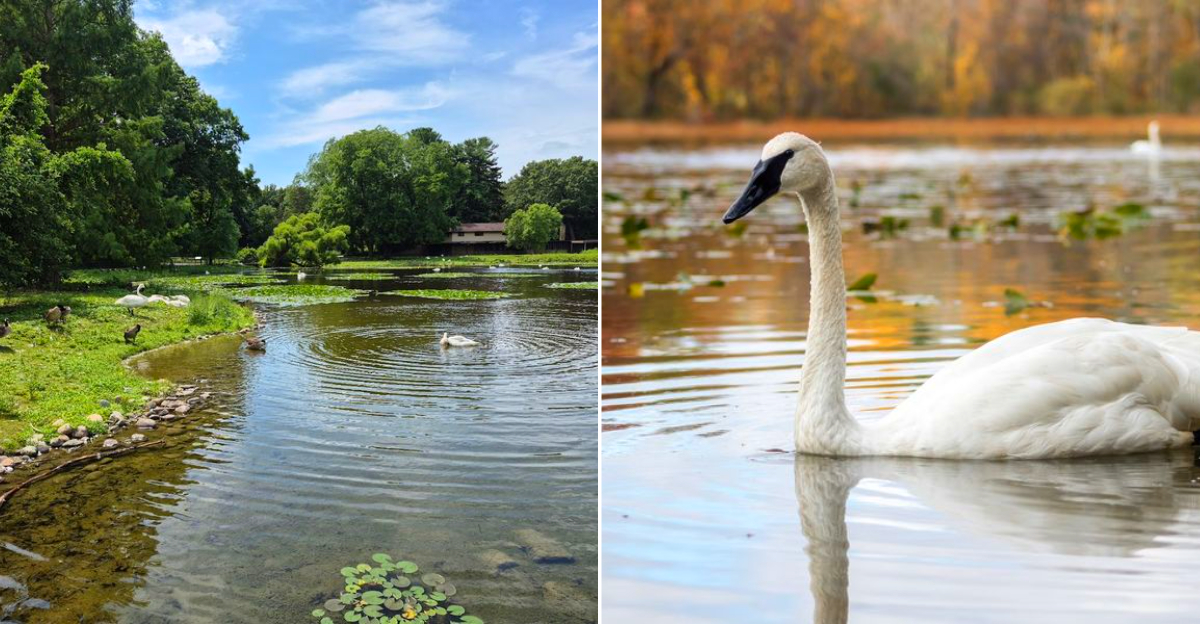 W.K. Kellogg Bird Sanctuary