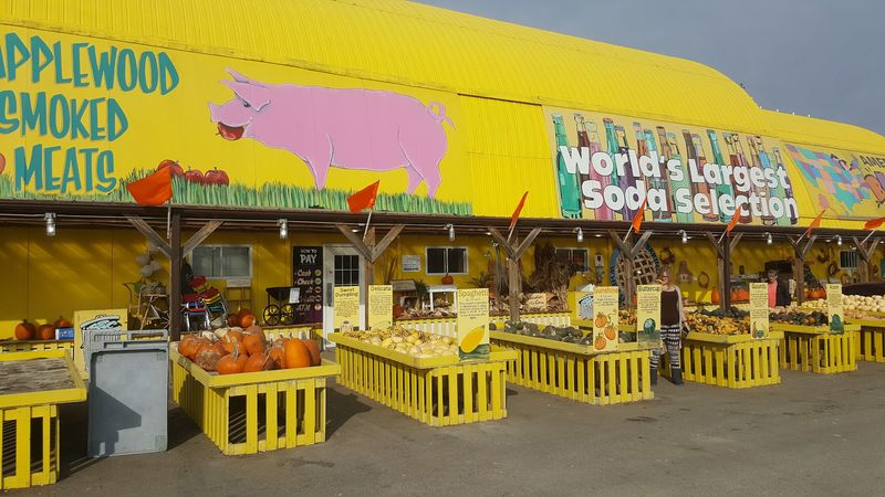 Where One Bold Idea Took Root