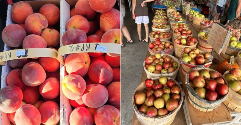 This Missouri Orchard Stand Sits Right Off The Highway With Fresh Peaches Waiting