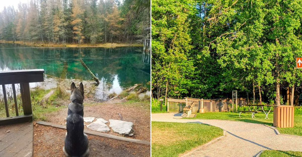 Kitch-iti-kipi in Palms Book State Park