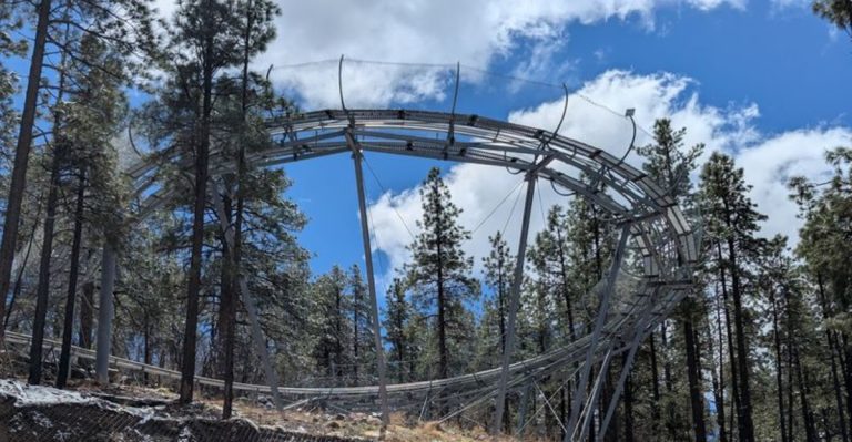 This Mountain Coaster In Williams, Arizona Is Perfect Spring Adventure
